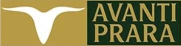 Avanti Leathers Limited